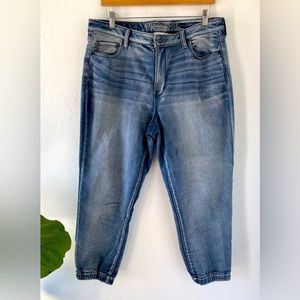 American Eagle Jogger Denim size 14 Regular